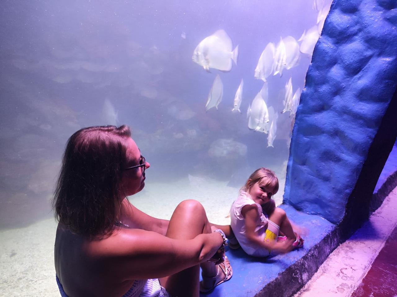 Hurghada oceanarium 29