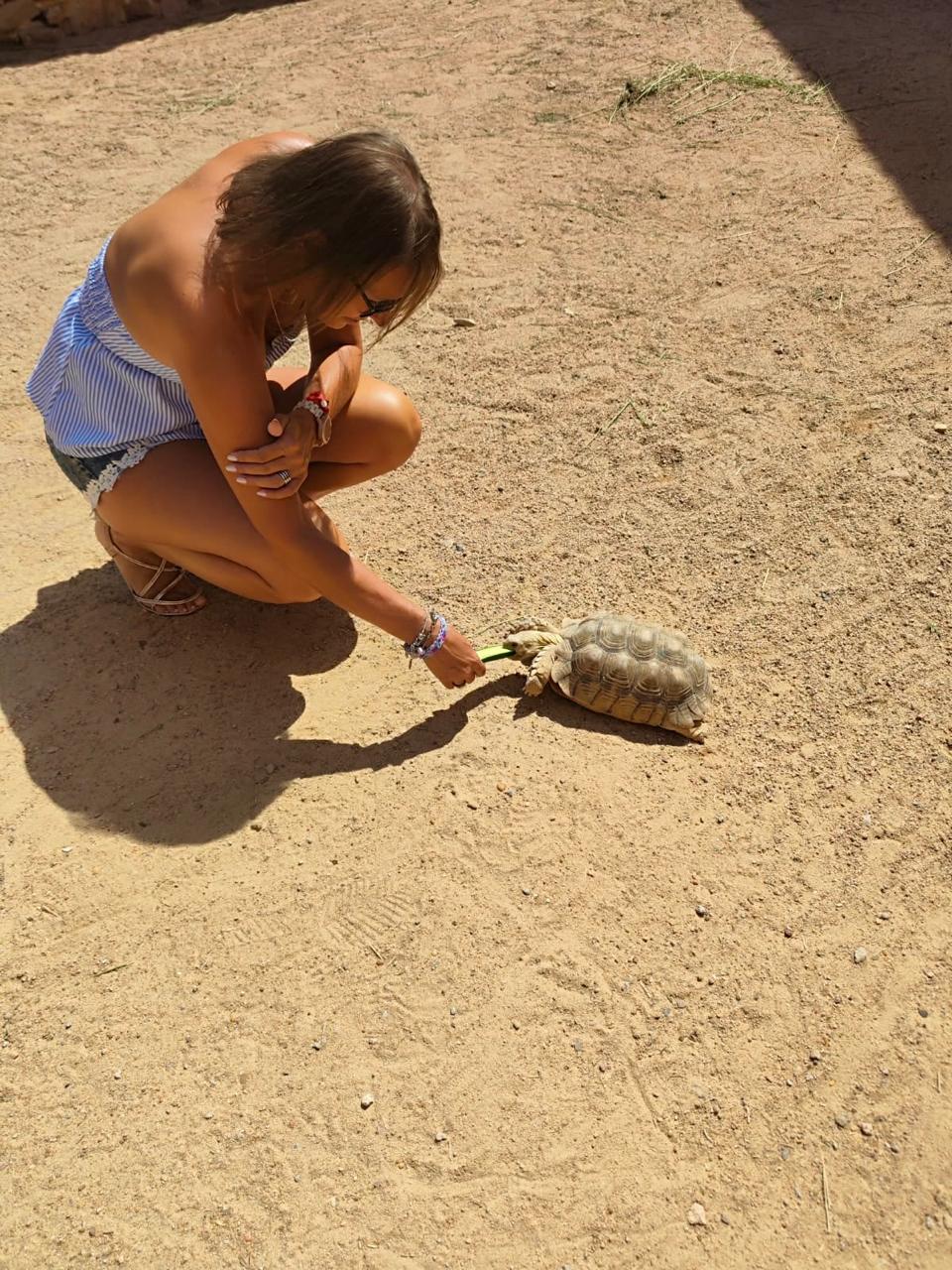 Hurghada oceanarium 33