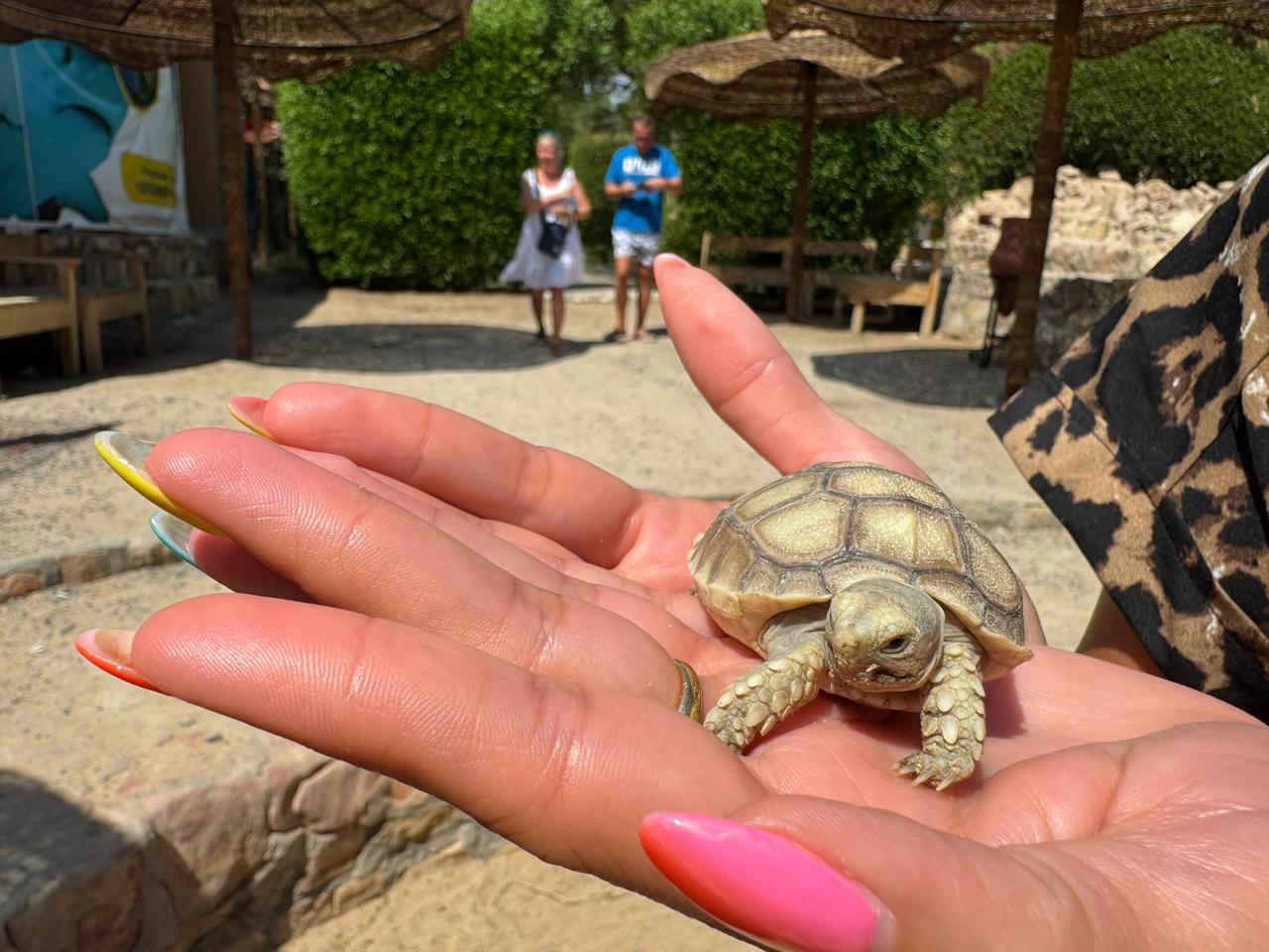 Hurghada oceanarium 34