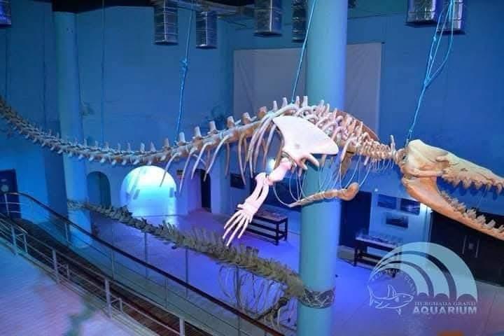 Hurghada oceanarium 36