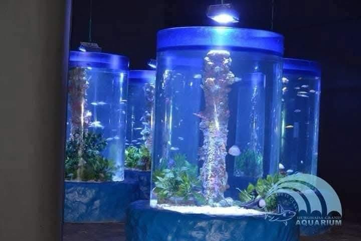 Hurghada oceanarium 39