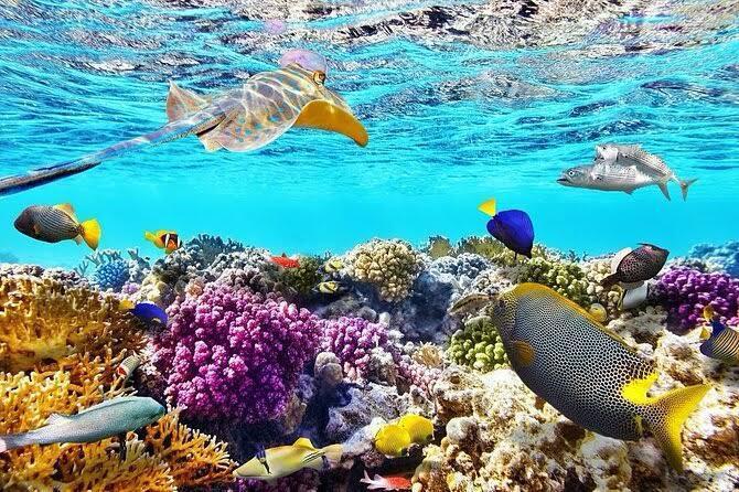 Hurghada private boat family trip 24